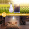 Outdoor Waterproof Solar Hanging Lamp - WELLQHOME